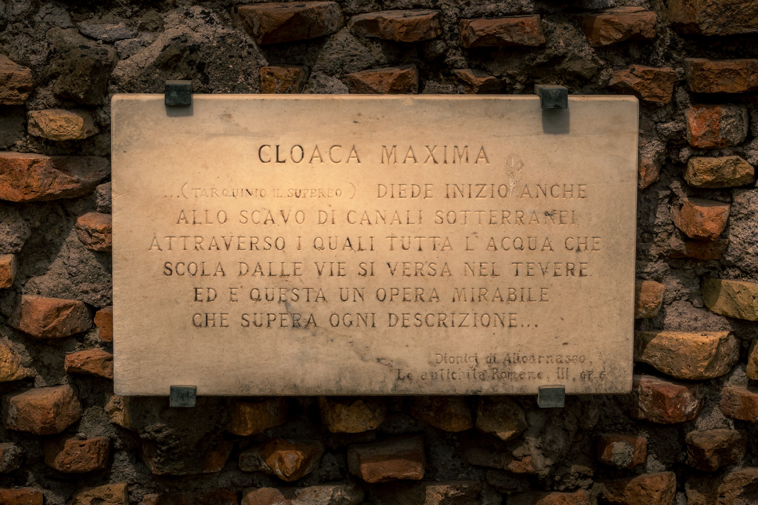 20250509 Rome Forum Romana 013